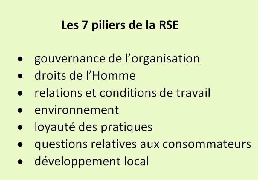 La RSE se compose de 7 thématiques : gouvernance de l’organisation, droits de l’Homme, relations et conditions de travail, environnement, loyauté des pratiques, questions relatives aux consommateurs, développement local.