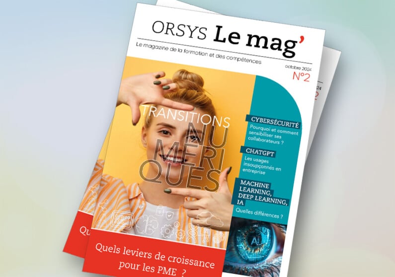 Tijdschrift voor digitale overgangen, ORSYS Le mag