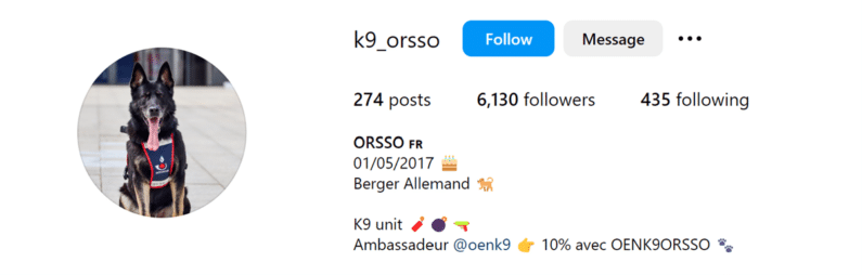 Exemple : la douane française. Leur K9 a son propre compte sur Instagram !