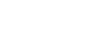 ORSYS wit logo