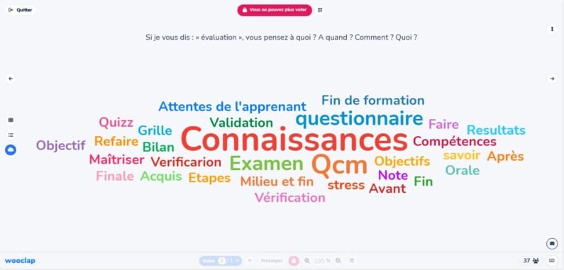 Cloud of words: knowledge, questionnaire, skills, exam, MCQ, knowledge, acquired, validation, objective, results, etc.