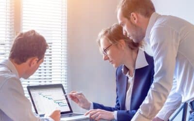 Project management in the public sector